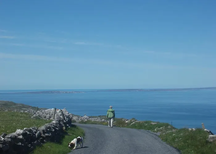 Greenlawn Lisdoonvarna