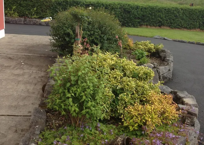 Alojamento de Acomodação e Pequeno-almoço Greenlawn